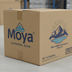 Air mineral MOYA Karton
