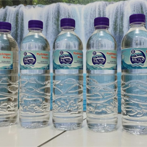 Air Mineral Moya 600 ml